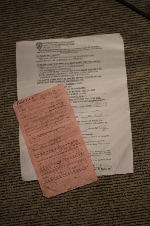 Guilty Plea and Fine