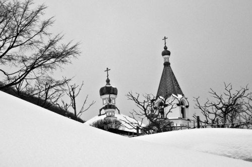 Dream Baby Dream - Photographic Works of Julia Cumines