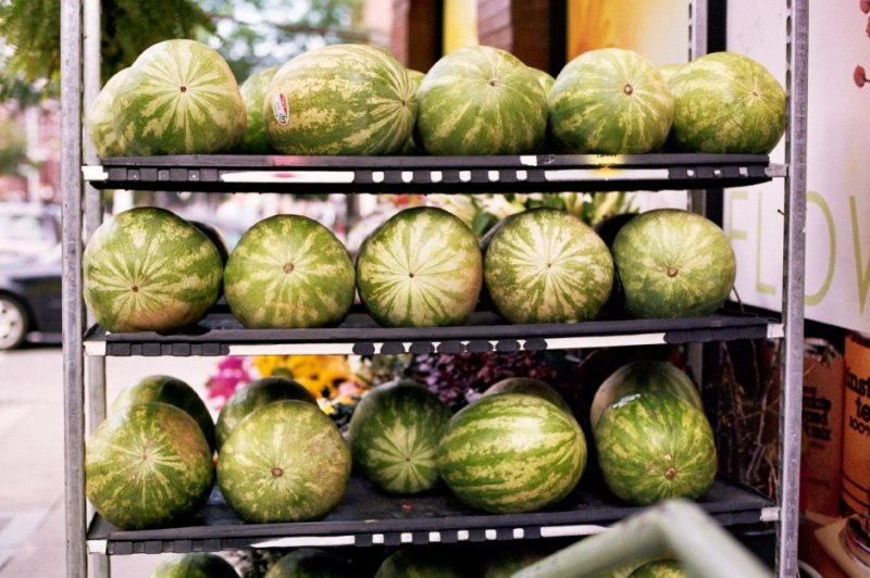 Photos: New York by Elize Strydom